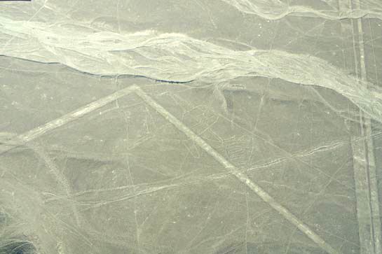 納斯卡神秘線條