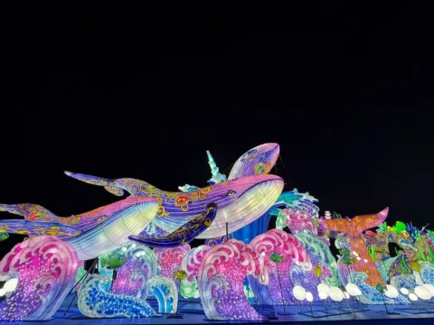 東京德國村(冬季彩燈節illumination)
