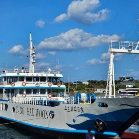 濟州+首爾8天韓遊之旅 ※牛島海洋道立公園、龍宮潛水艇體驗、金京淑向日葵農場、Kidzania兒童職業主題樂園、樂天世界、ZoolungZoolung室內動物園、SeaLifeAquariumCoex