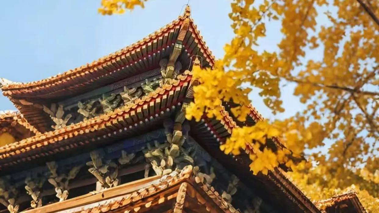 故宮秋天