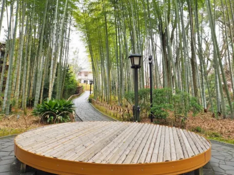 修善寺溫泉區~竹林小徑