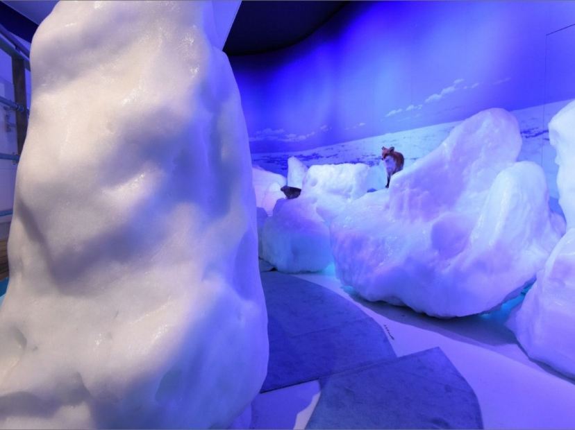 鄂霍次克流冰館