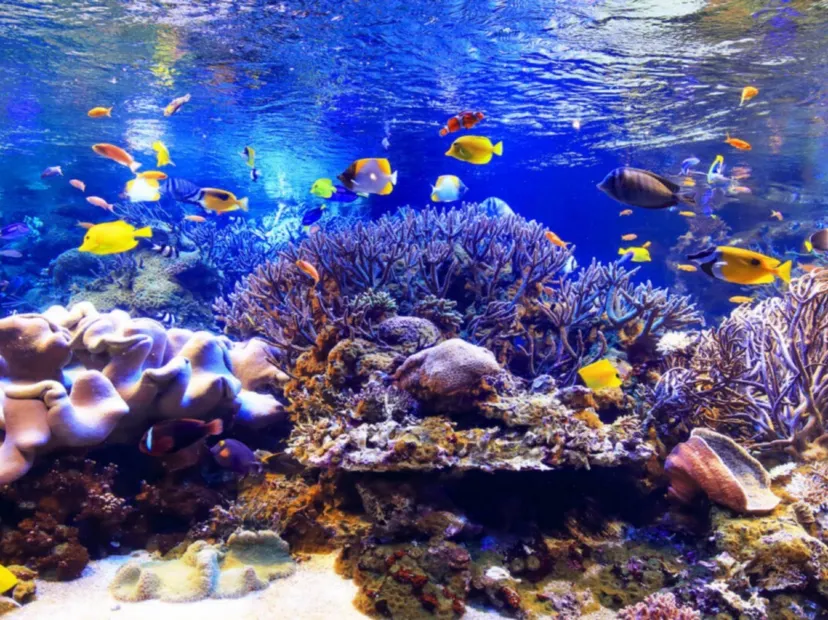 鳥羽水族館