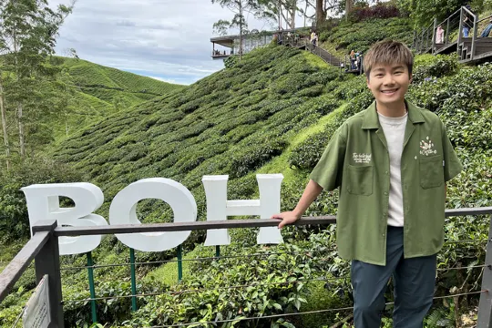 金馬崙高原茶園