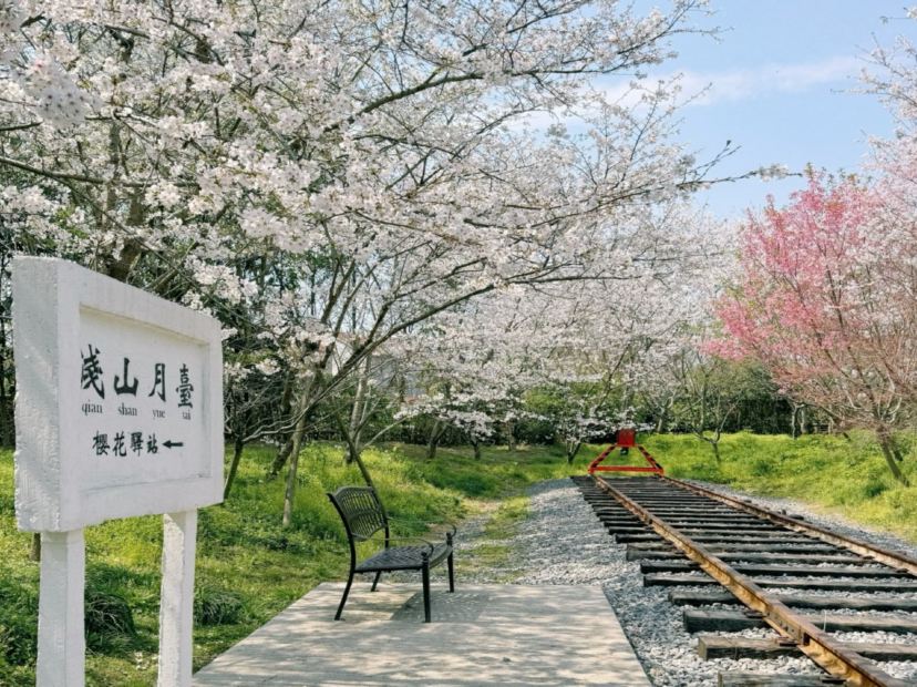 淺山森林美術公園