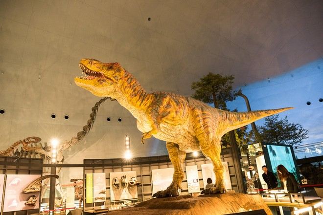 福井恐龍博物館