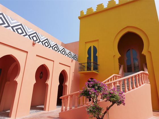 Camel Republic 駱駝共和國