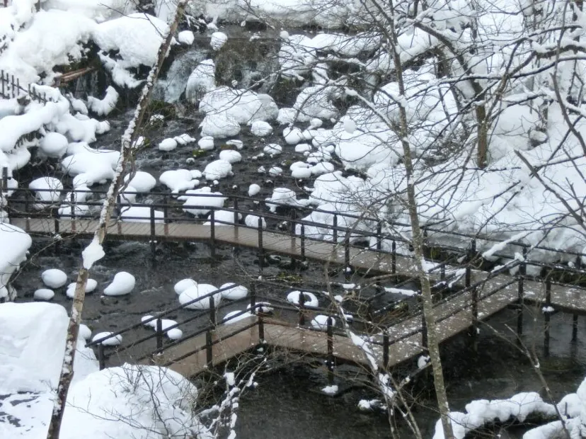 京極湧泉名水公園
