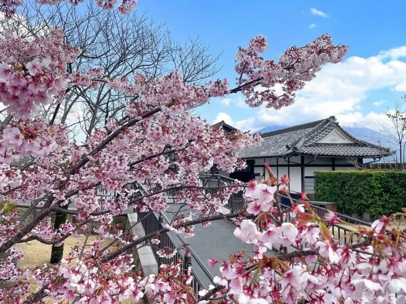仙巖園