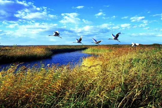 紮龍自然保護區