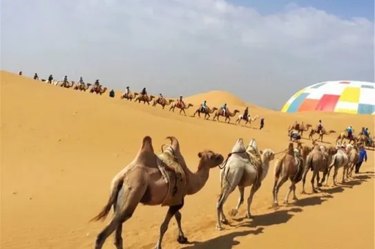 庫布其沙漠~響沙灣