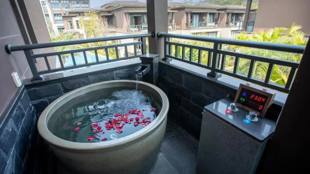 陽江D&S溫泉度假酒店