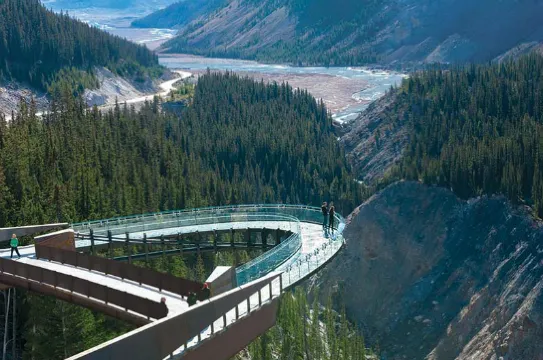 賈斯珀國家公園冰川空中觀景走廊