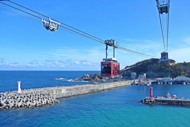 莊湖港海上纜車單程乘搭體驗