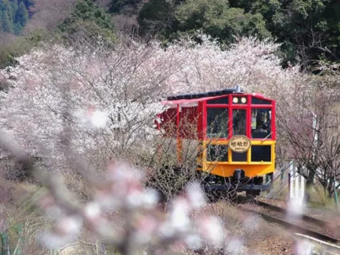 嵐山小火車 