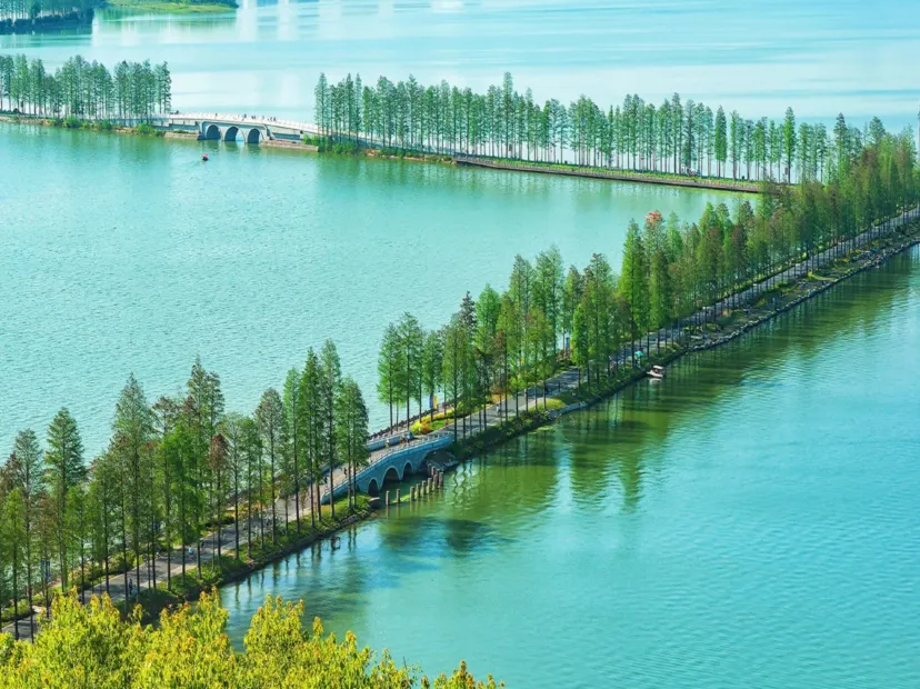 東湖綠道
