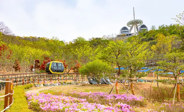 華蓋山單軟軌來回乘坐體驗