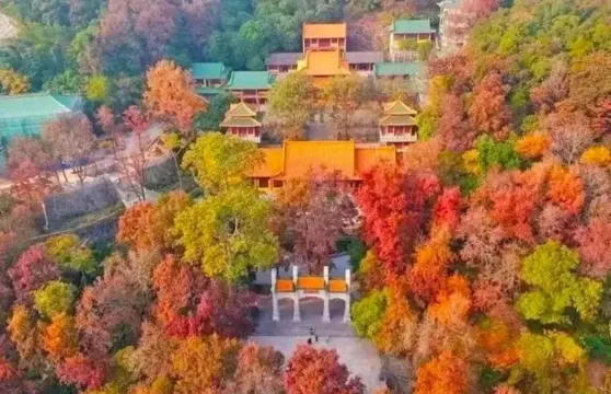 圭峰山國家森林公園楓葉