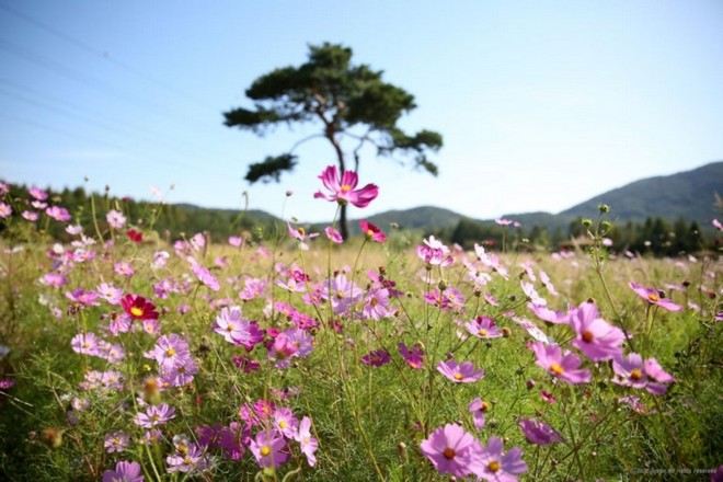 仁川大公園 9月