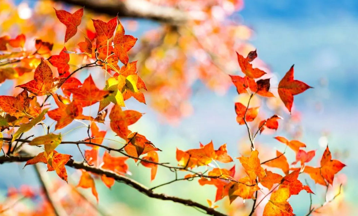 石門國家森林公園