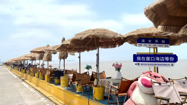 崖口村東堤集市