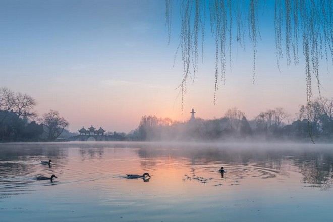 自費活動:瘦西湖