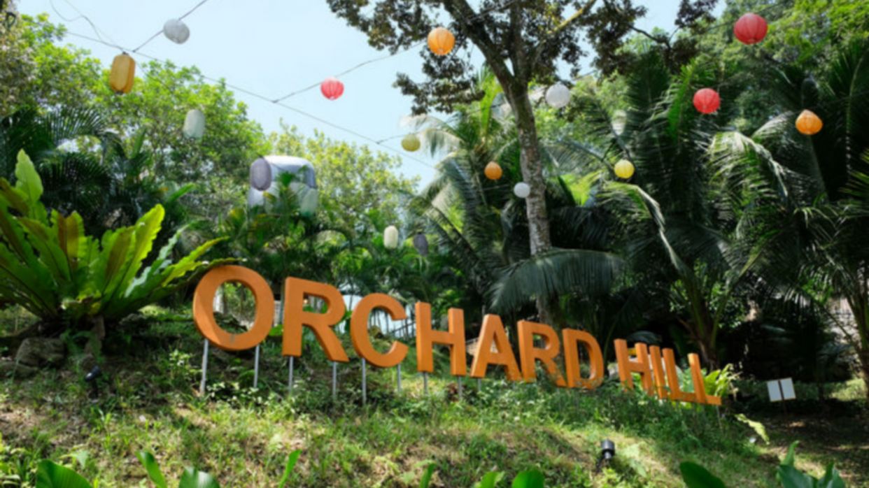 Orchard Hill