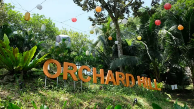 Orchard Hill