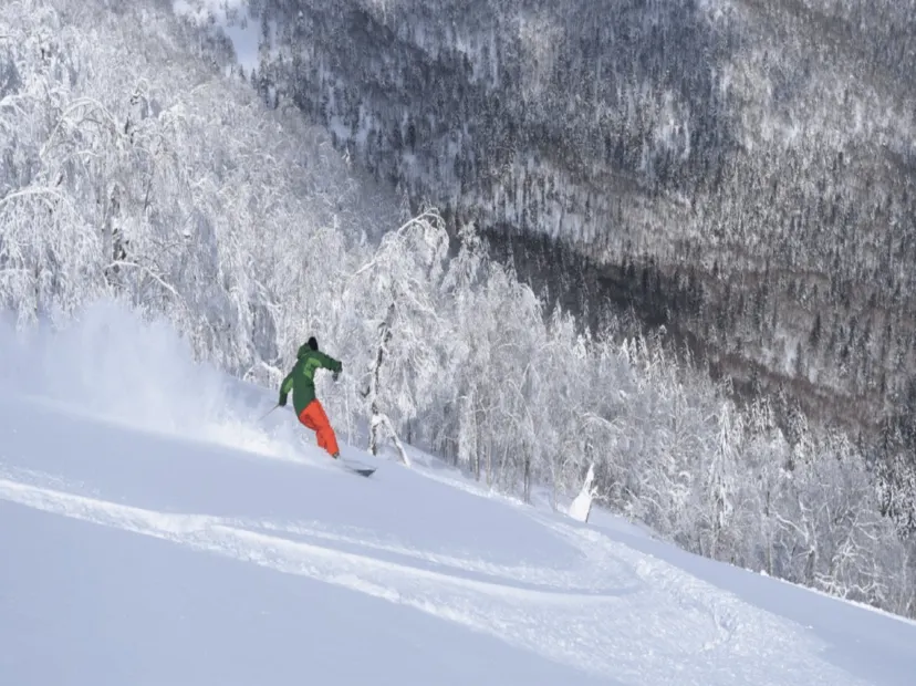 Sahoro Resort