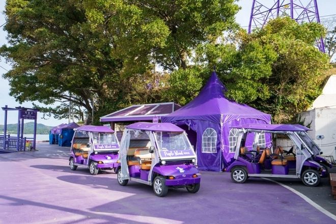 紫色電動車體驗