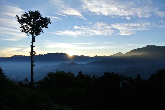 阿里山日出