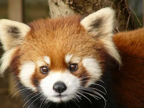 市川市動植物園