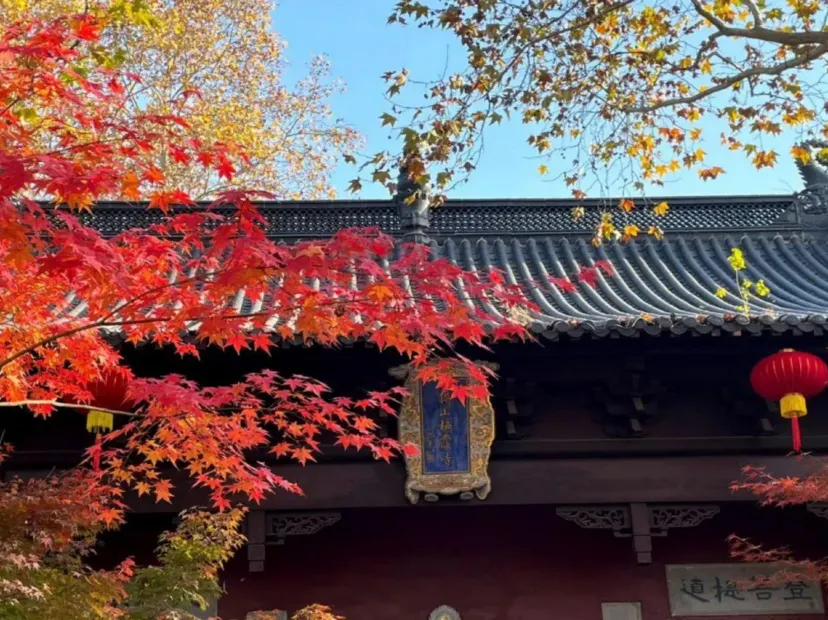 棲霞山