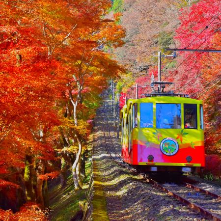 東京、夏/秋の富士山 賞景購物6天之旅 「千葉三大名山」鋸山(包乘登山纜車)、山中湖花之都公園~清流之里/高尾山(賞紅葉)、富士合掌村/河口湖紅葉迴廊、富士山五合目、成田山新勝寺