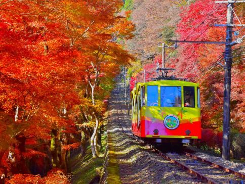 東京、秋の富士山 賞景購物6天之旅 「千葉三大名山」鋸山(包乘登山纜車)、山中湖花之都公園~清流之里/高尾山(賞紅葉)、富士合掌村/河口湖紅葉迴廊、富士山五合目、成田山新勝寺 東京、秋の富士山 賞景購物6天之旅 「千葉三大名山」鋸山(包乘登山纜車)、山中湖花之都公園~清流之里/高尾山(賞紅葉)、富士合掌村/河口湖紅葉迴廊、富士山五合目、成田山新勝寺