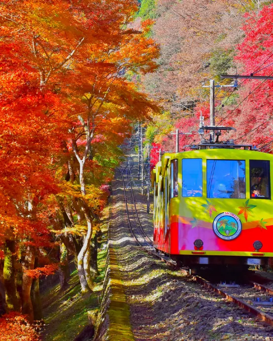 東京、夏/秋の富士山 賞景購物6天之旅 「千葉三大名山」鋸山(包乘登山纜車)、山中湖花之都公園~清流之里/高尾山(賞紅葉)、富士合掌村/河口湖紅葉迴廊、富士山五合目、成田山新勝寺