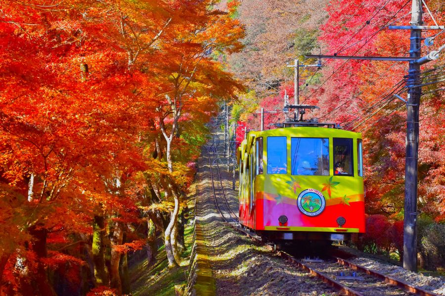 東京、秋の富士山 賞景購物6天之旅 「千葉三大名山」鋸山(包乘登山纜車)、山中湖花之都公園~清流之里/高尾山(賞紅葉)、富士合掌村/河口湖紅葉迴廊、富士山五合目、成田山新勝寺