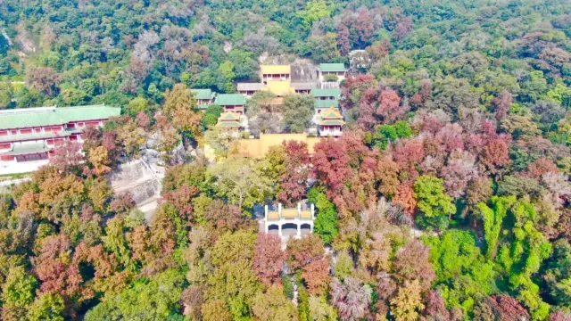 圭峰山國家森林公園楓葉