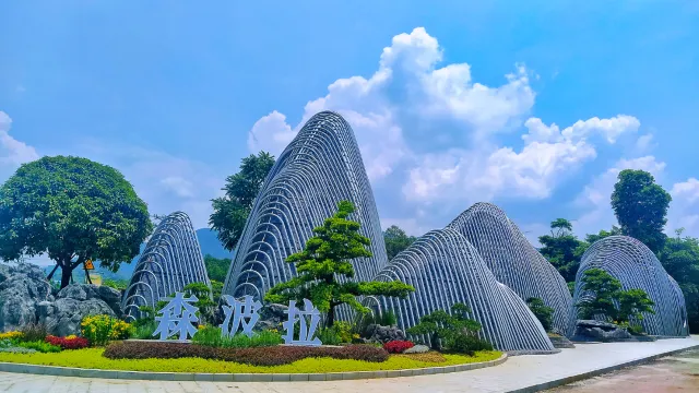 森波拉松鼠酒店