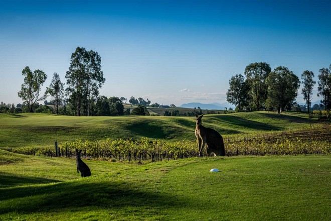 Oaks Cypress Lakes Resort