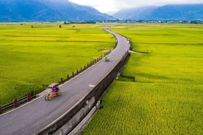 伯朗大道騎乘單車