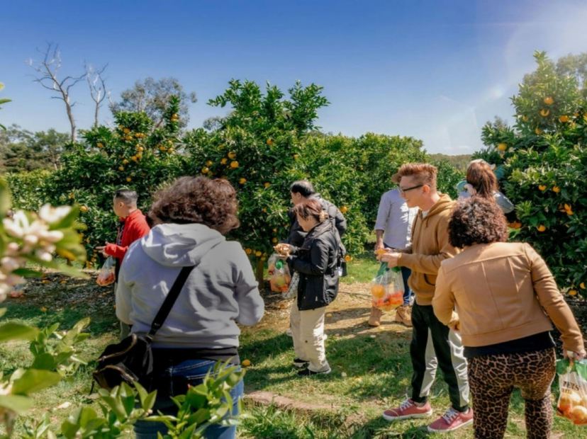 Rayner's Orchard雷納果園