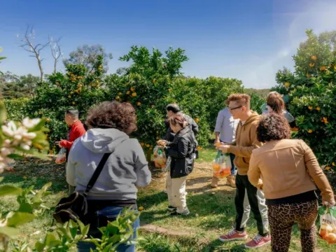 Rayner's Orchard雷納果園