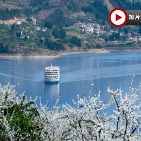 <全包登岸觀光>🌸春賞粉櫻🌸 醉美花海🌸  榮耀/凱歌/綠洲號(3-4樓江景露台房) 長江三峽(下水)、三峽大壩、豐都鬼城、神女溪、升船機、武隆天生三橋、洪崖洞、輕軌穿樓奇觀 8天純玩團