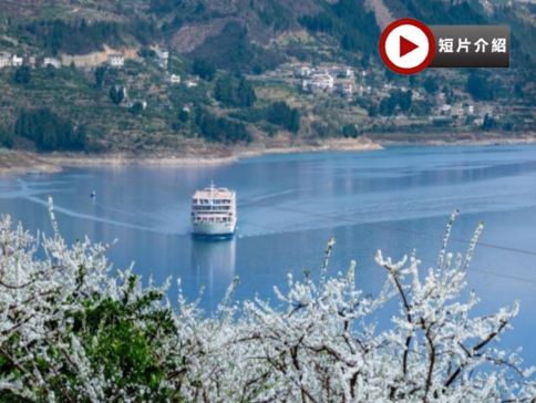 <全包登岸觀光>世紀遊輪~榮耀號/凱歌號/綠洲號(3-4樓江景露台房) 長江三峽(下水)、三峽大壩、豐都鬼城、神女溪、升船機、武隆天生三橋、洪崖洞、輕軌穿樓奇觀 8天純玩團