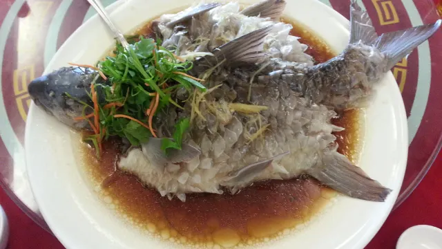 馬來西亞魚皇「忘不了」