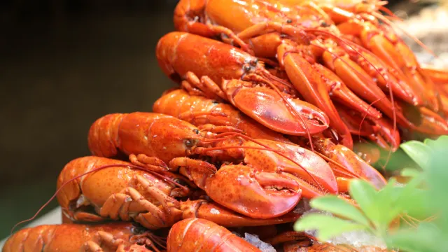 酒店海鮮自助晚餐