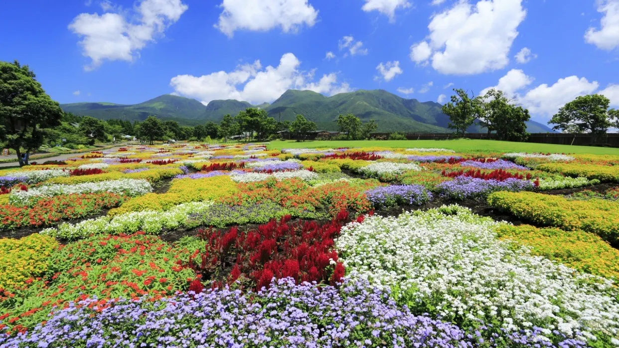 久住花公園