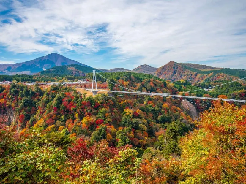 九重夢吊橋