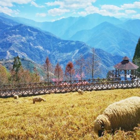 台東+日月潭+清境 7天環島之旅 【重本安排】花蓮火車站包乘搭火車回台北、清境農場、高美濕地、藍晒圖文創園區、七星潭、日月潭國家風景區《出發日期:逢星期一、三出發》 【免費代辦台灣簽證(網證)*】